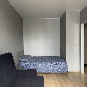 Сдается 1-комнатная квартира, 30,5 м²