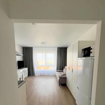 Сдается 1-комнатная квартира, 23,3 м²