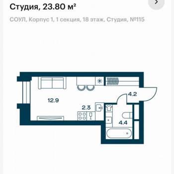 Продается 1-комнатная квартира, 23,8 м²