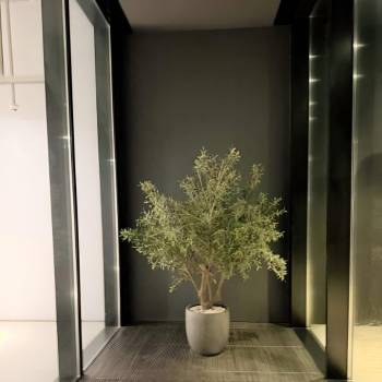 Сдается 2-х комнатная квартира, 39 м²