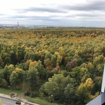 Продается 1-комнатная квартира, 49 м²