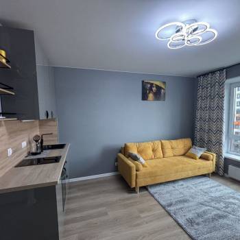 Сдается 1-комнатная квартира, 21,2 м²