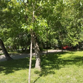 Продается 1-комнатная квартира, 33,7 м²