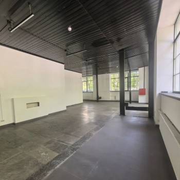 Сдается Нежилое помещение, 236 м²