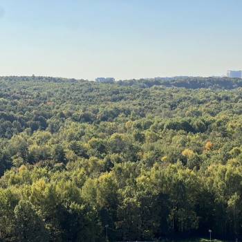 Продается 1-комнатная квартира, 43 м²