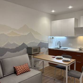 Сдается 1-комнатная квартира, 23,3 м²