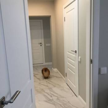 Продается 2-х комнатная квартира, 51,2 м²
