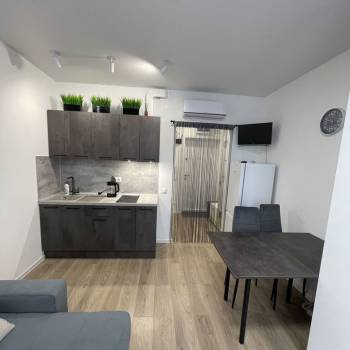 Сдается 1-комнатная квартира, 21,5 м²