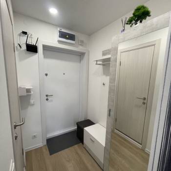 Сдается 1-комнатная квартира, 21,5 м²