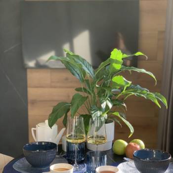 Сдается 1-комнатная квартира, 31 м²