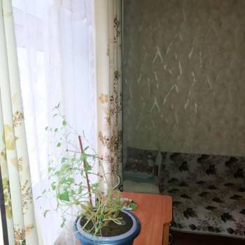 Сдается Комната, 36,8 м²