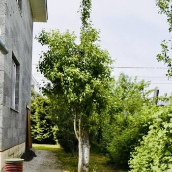 Продается Дом, 171 м²