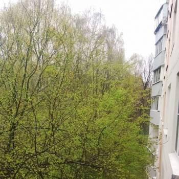 Сдается Комната, 52 м²