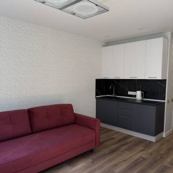 Сдается 1-комнатная квартира, 23,1 м²