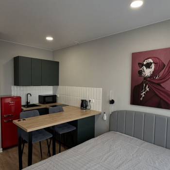Сдается 1-комнатная квартира, 21 м²