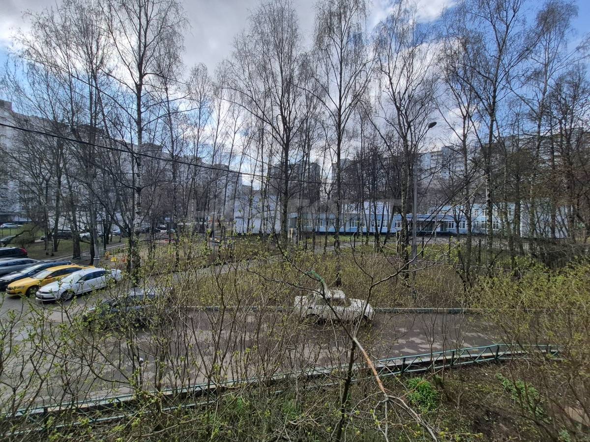 Фотография №10