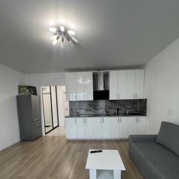 Сдается 1-комнатная квартира, 26,8 м²
