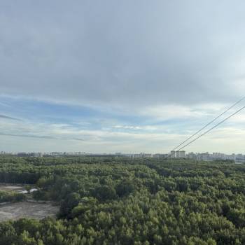 Сдается Многокомнатная квартира, 83 м²