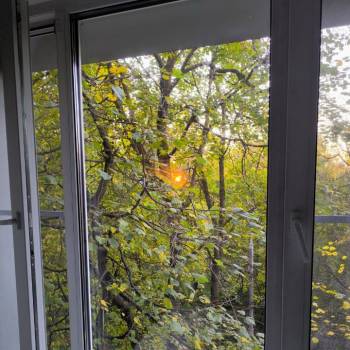 Сдается 1-комнатная квартира, 17,5 м²