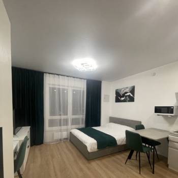 Сдается 1-комнатная квартира, 23,3 м²