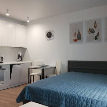 Сдается 1-комнатная квартира, 25,3 м²