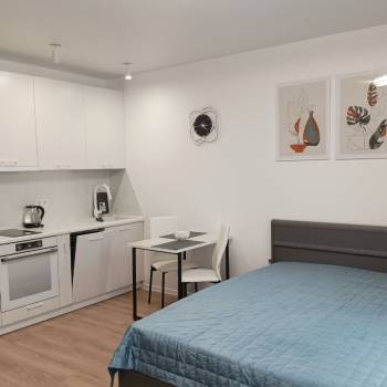 Сдается 1-комнатная квартира, 25,3 м²