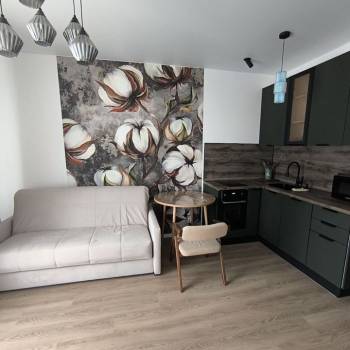 Сдается 1-комнатная квартира, 21,5 м²