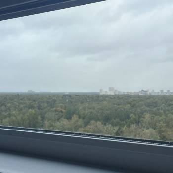 Сдается 1-комнатная квартира, 23,4 м²