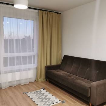 Сдается 1-комнатная квартира, 25,3 м²