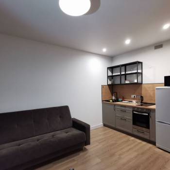 Сдается 1-комнатная квартира, 25,3 м²