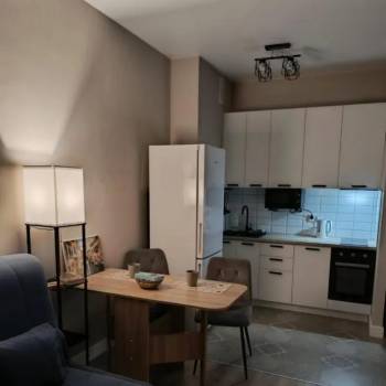 Сдается 1-комнатная квартира, 23,7 м²