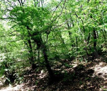 Продается Участок, 1500 м²