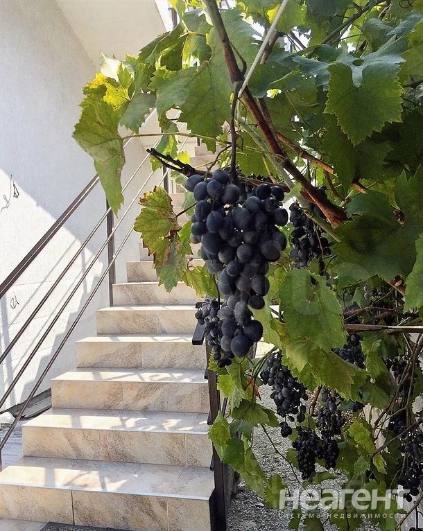 Фотография №2