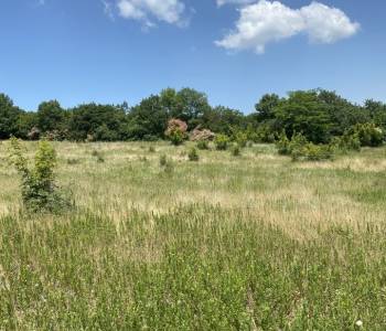 Продается Участок, 1200 м²