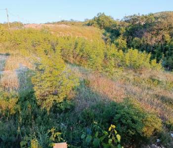 Продается Участок, 600 м²