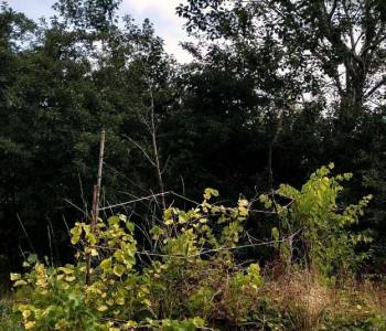 Продается Дом, 169 м²