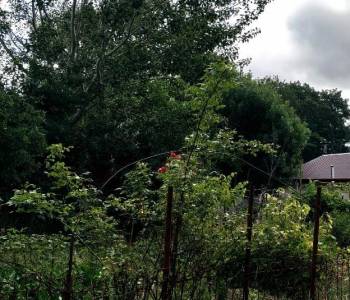 Продается Дом, 169 м²