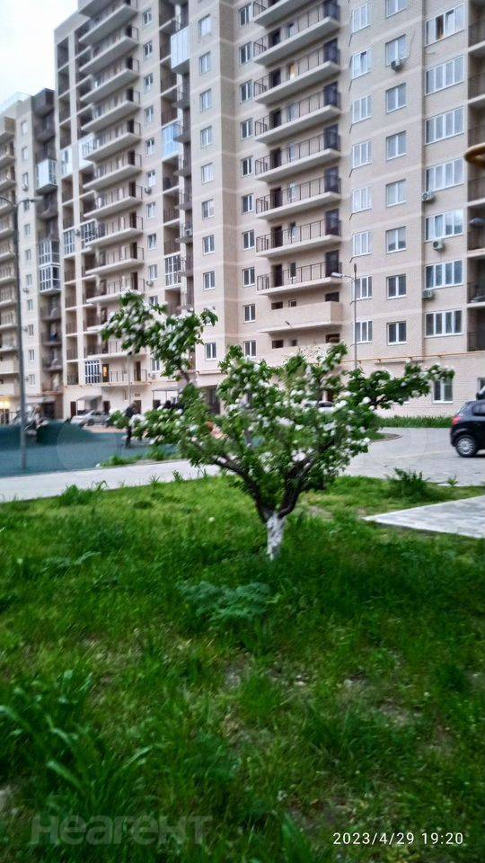 Продается 1-комнатная квартира, 27,2 м²