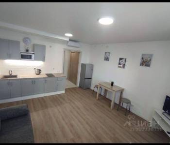 Сдается 1-комнатная квартира, 24,1 м²