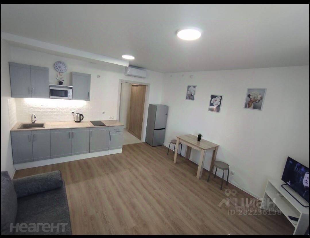 Сдается 1-комнатная квартира, 24,1 м²