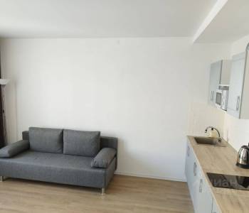 Сдается 1-комнатная квартира, 24,1 м²