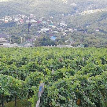 Продается Участок, 520 м²