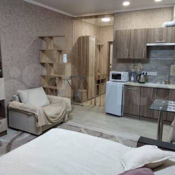 Продается 1-комнатная квартира, 26,5 м²