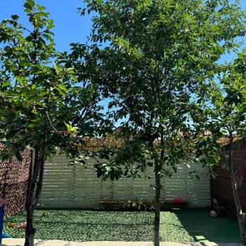 Продается Дом, 256,5 м²