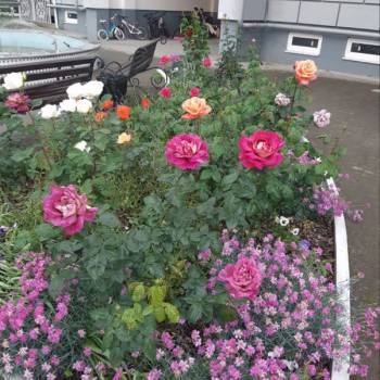 Продается 2-х комнатная квартира, 70 м²