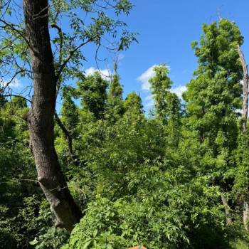 Продается 2-х комнатная квартира, 54,3 м²