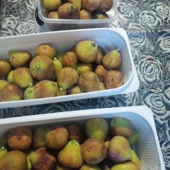 Продается Дом, 158 м²