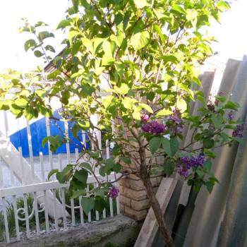 Продается Дом, 42,4 м²