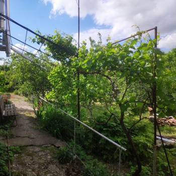 Продается Дом, 44 м²