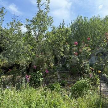 Продается Участок, 730 м²